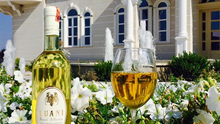 Degustimi i verës në Berat